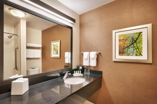 a bathroom with a sink and a large mirror at Fairfield Inn & Suites Idaho Falls in Idaho Falls