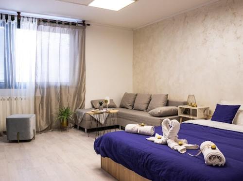 een woonkamer met 2 bedden en een bank bij Center Cozy Apartment in Subotica