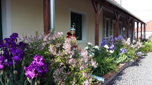 a woman standing in the window of a house with flowers at Cziróka Vendégház in Tolcsva