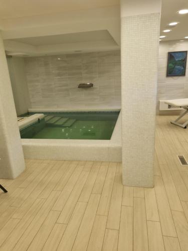 una piscina de agua verde en una habitación grande en Wide and comfortable Spa House Sea 3 min en Mezhtsiyems