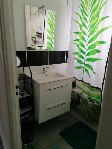 une salle de bain avec un lavabo et un miroir dans l'établissement Appartement entier Bourges Avaricum centre ville, à Bourges