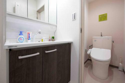 a small bathroom with a toilet and a sink at Asakusa 2 Bedroom Apartment 西浅草2LDK広々ファミリーorグループ in Tokyo