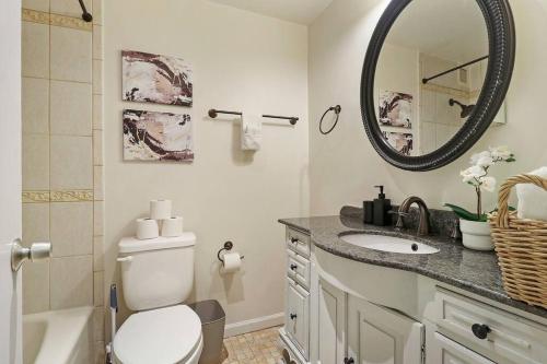 uma casa de banho com um WC, um lavatório e um espelho. em 1BR Apartment with Spacious Living Area - Chestnut 07B em Chicago