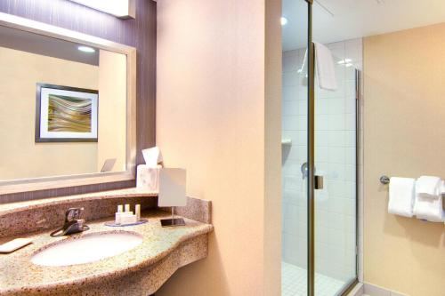 a bathroom with a sink and a shower at Courtyard Rochester Mayo Clinic Area/Saint Marys in Rochester