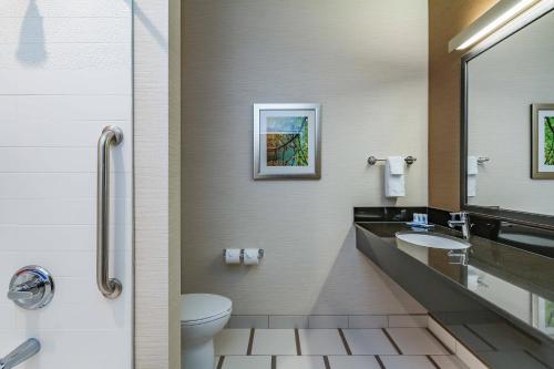 La salle de bains est pourvue de toilettes, d'un lavabo et d'un miroir. dans l'établissement Fairfield Inn & Suites by Marriott Elkhart, à Elkhart