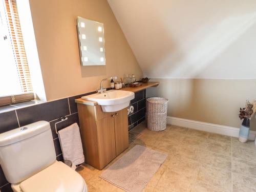 a bathroom with a toilet and a sink at Granary Loft in Grantham