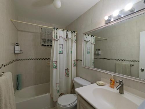 een badkamer met een wastafel, een toilet en een spiegel bij Vida Mejor - West Pool in Saint James