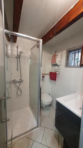 une salle de bain avec une douche, un lavabo et des toilettes dans l'établissement Chalet en Castel, à Ax-les-Thermes