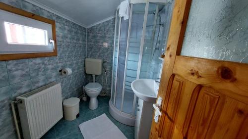 a bathroom with a toilet and a sink and a shower at Casa Victoria in Moieciu de Sus