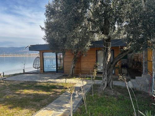 Galeriebild der Unterkunft Exclusive Bungalow by the Sea in Bandırma