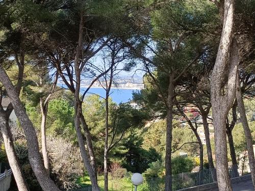 uma vista para o oceano através de um grupo de árvores em Appartement T2 Sanary sur mer em Sanary-sur-Mer