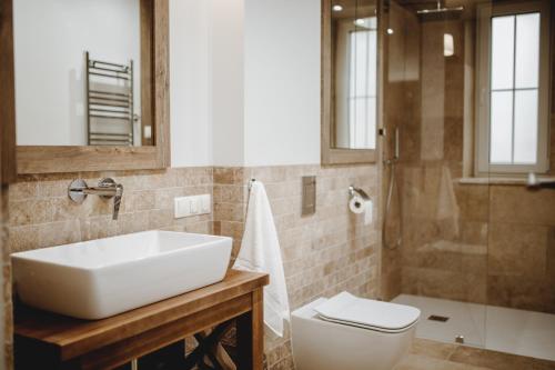 a bathroom with a sink and a toilet and a shower at Pasieka Podlaska Tradycja in Siemiatycze