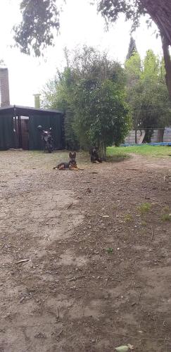 Casa quinta zarate – Foton 5
