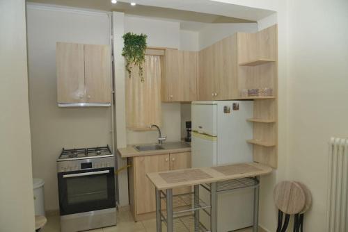 cocina con armarios de madera y nevera blanca en little apartment in kanoni en Análipsis