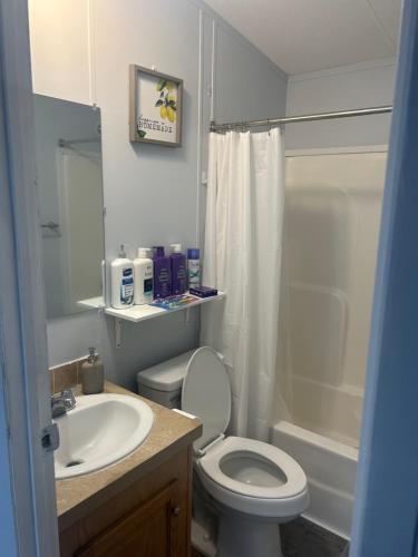 Ванная комната в West Asheville Remodeled Mobile Home