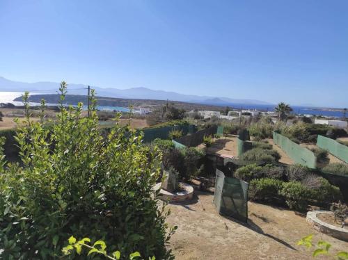 a garden with trees and bushes in a field at CIELO Summer House Paros in Santa Marina