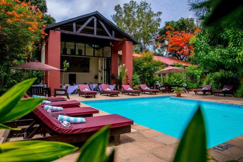 a swimming pool with lounge chairs and a resort at Hibiscus House Gambia in Brufut