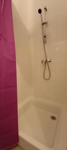 a bathroom with a bath tub with a shower at Le Zen -studio tout équipé- WIFI Fibre- centre ville avec parking in Tarbes