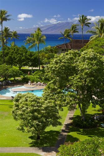 Landskap semula jadi dekat dengan resort