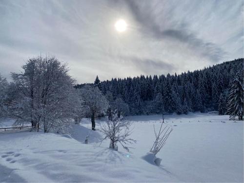 a snow covered field with trees and the sun in the sky at Casa Monte Zebio in Asiago