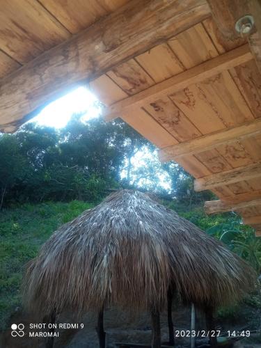 una sombrilla de paja bajo un techo de madera en Pájaros, en El Zaino
