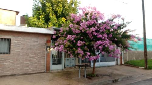 El Nogal monoambiente – Photos 2