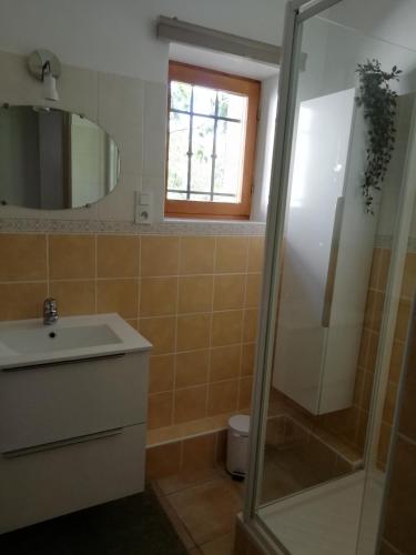 une salle de bain avec un lavabo et une douche dans l'établissement Les Glycines de Saint Bo, à Saint-Bonnet-en-Champsaur
