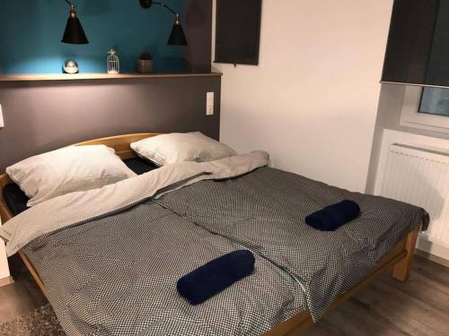 Una cama con dos almohadas azules encima. en Csengery Apartment en Budapest