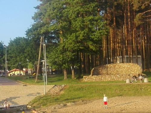 a person flying a kite in a park at Holiday Home in Kretowiny near Lake in Kretowiny