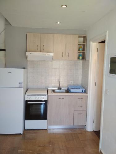 a kitchen with a white refrigerator and a sink at Foinikas Apartment in Mitika