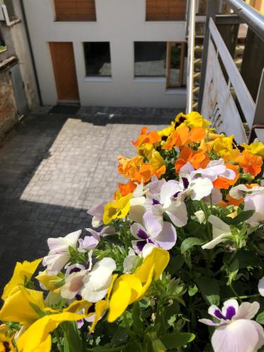 a bunch of flowers in front of a door at Appartamento incantevole con parcheggio privato in Casteldidone