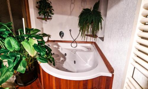 uma banheira num quarto com plantas em Třebeč House em Borovany