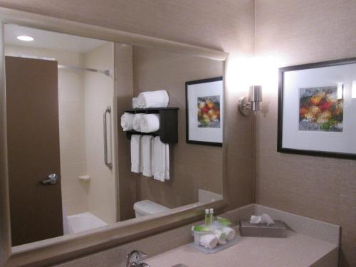 uma casa de banho com um lavatório e um espelho grande em Holiday Inn Express Cloverdale - Greencastle, an IHG Hotel em Cloverdale