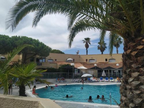 a group of people in a swimming pool with a palm tree at Résidence Odalys Saint Loup Appartement Climatisé entierement rénové in Cap d'Agde