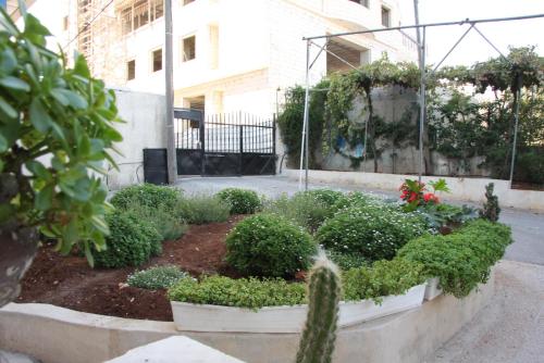 Jardín al aire libre en Ramallah Hostel