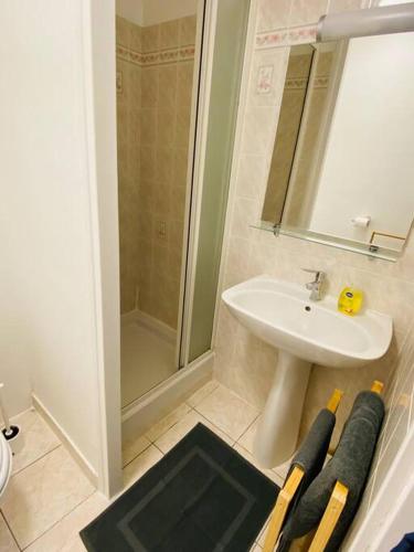 La salle de bains est pourvue d'un lavabo et d'une douche avec des battes de baseball. dans l'établissement Appartement de charme 1er etage, à Saint-Samson-sur-Rance