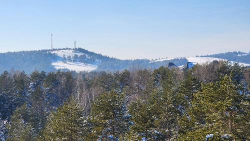 einen Berg mit Bäumen und ein Haus darüber in der Unterkunft Apartman 17 Divcibare in Divčibare