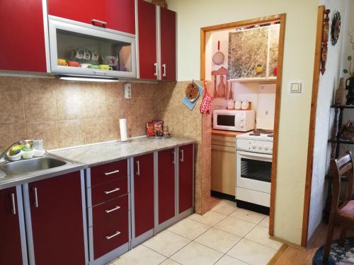 uma cozinha com armários vermelhos, um lavatório e um micro-ondas em Vikend kuća Ivković em Rudnik