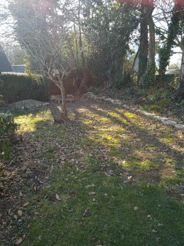 une cour avec un arbre dans l'herbe dans l'établissement Logement cosy proche de la mer et des commodités, à Pleuven