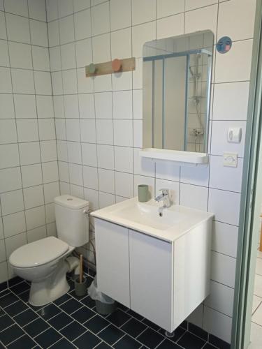 y baño con aseo, lavabo y espejo. en Logement cosy proche de la mer et des commodités, en Pleuven