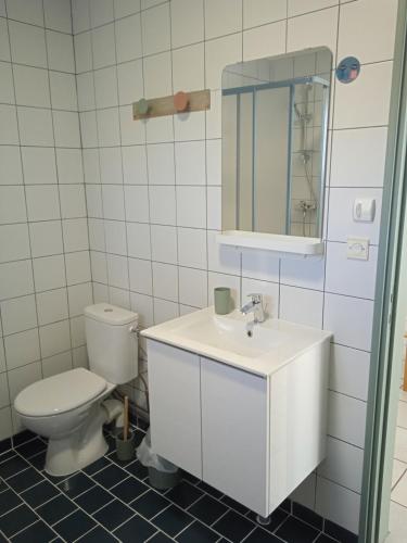 une salle de bain avec toilettes, lavabo et miroir dans l'établissement Logement cosy proche de la mer et des commodités, à Pleuven