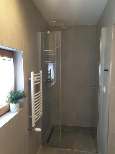 a shower with a glass door in a bathroom at Domeczek Góralski Zakopane in Zakopane