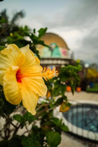 Piscina en o cerca de Ecovilla Cali