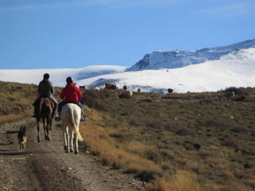 dos personas montando caballos y un perro en un camino de tierra en Granada, ciudad encantada, en Cájar