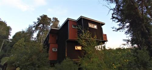 een huis dat bovenop enkele bomen zit bij CasaBosque-Rucalemu, Torobayo in Valdivia