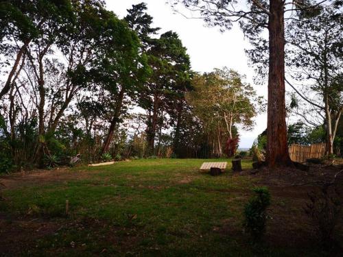 a park with a bench next to a tree at Casa del Eucalipto in Sabana Redonda