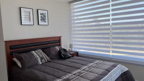 um quarto com uma cama e uma grande janela em Departamento Condominio LagunaMar Las Cruces em Las Cruces