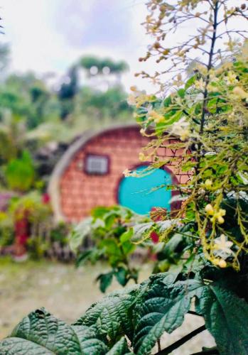 a brick building with a blue window in a garden at Kamp Aninipot in Siquijor