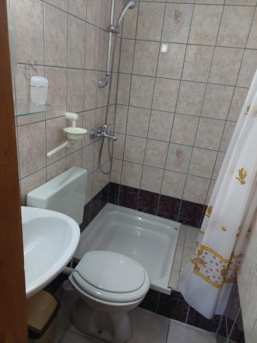 y baño con aseo, lavabo y ducha. en Apratmani Ivić, en Kupres