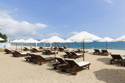 a group of chairs and umbrellas on a beach at Regalia Nha Trang in Nha Trang